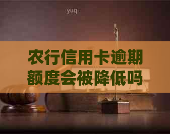 农行信用卡逾期额度会被降低吗？