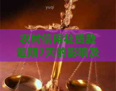 农村信用社贷款逾期7天的影响及解决办法