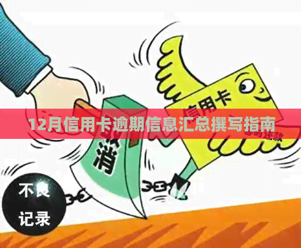 12月信用卡逾期信息汇总撰写指南