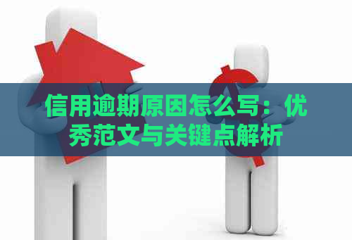 信用逾期原因怎么写：优秀范文与关键点解析