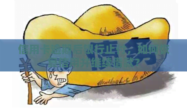 信用卡逾期后银行止付，如何恢复信用并继续借款？