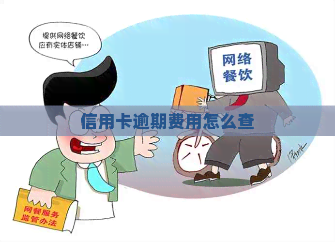 信用卡逾期费用怎么查