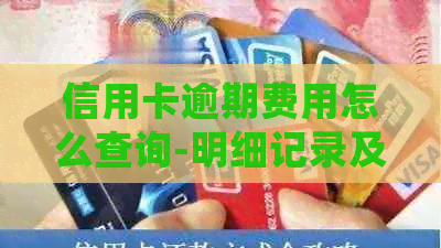 信用卡逾期费用怎么查询-明细记录及余额