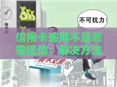 信用卡逾期不是恶意：解决方法与影响分析