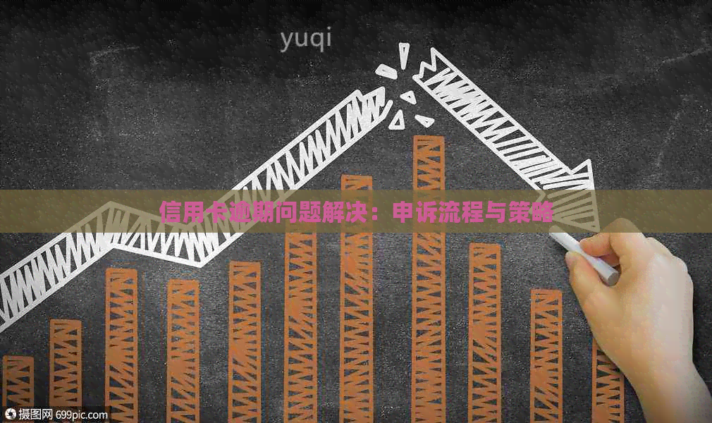 信用卡逾期问题解决：申诉流程与策略