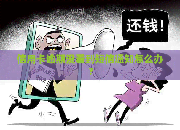 信用卡逾期没看到短信通知怎么办？