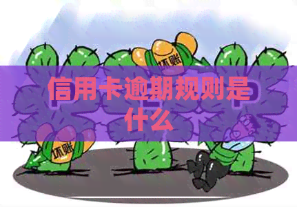 信用卡逾期规则是什么