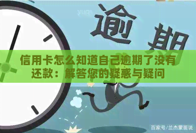 信用卡怎么知道自己逾期了没有还款：解答您的疑惑与疑问