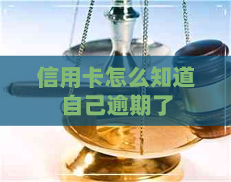 信用卡怎么知道自己逾期了
