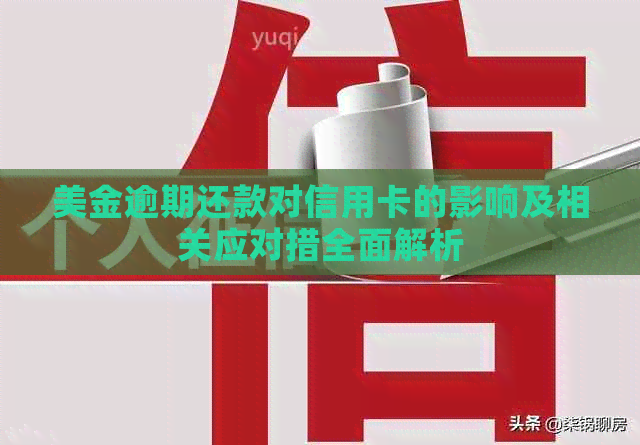 美金逾期还款对信用卡的影响及相关应对措全面解析