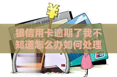 银信用卡逾期了我不知道怎么办如何处理逾期还款问题和自救方法？