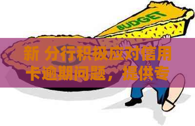 新 分行积极应对信用卡逾期问题，提供专业解决方案