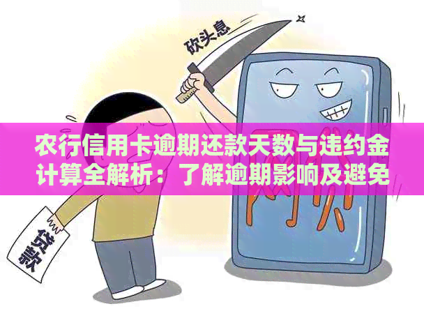 农行信用卡逾期还款天数与违约金计算全解析：了解逾期影响及避免额外费用