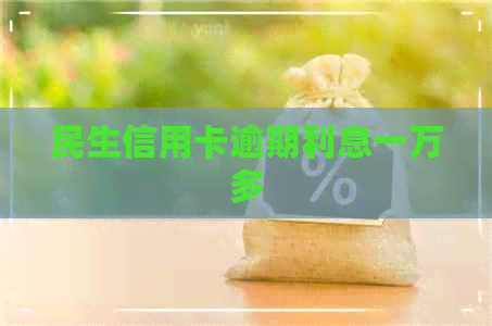 民生信用卡逾期利息一万多