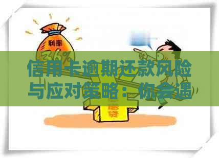 信用卡逾期还款风险与应对策略：你会遇到这样的问题吗？