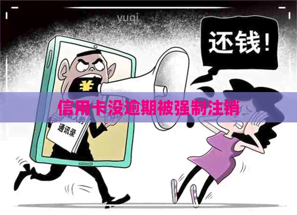 信用卡没逾期被强制注销
