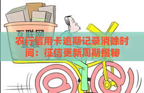 农行信用卡逾期记录消除时间：更新周期揭秘