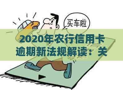 2020年农行信用卡逾期新法规解读：关键变化与影响全解析
