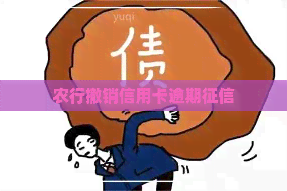 农行撤销信用卡逾期