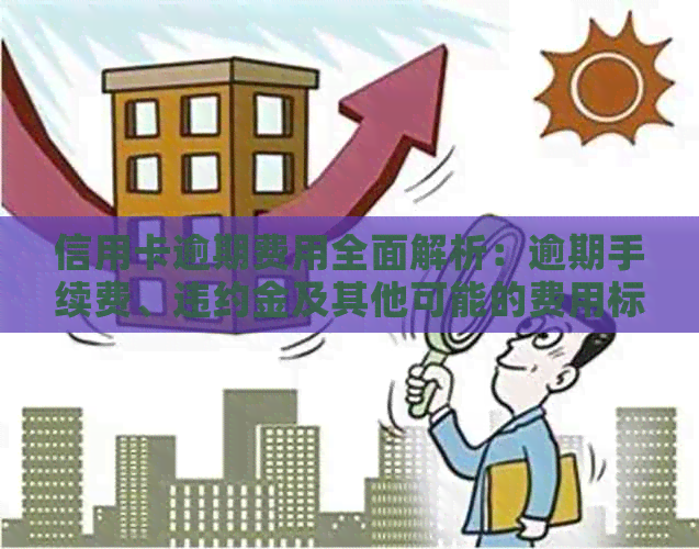 信用卡逾期费用全面解析：逾期手续费、违约金及其他可能的费用标准