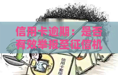 信用卡逾期：是否有效举报至机构？