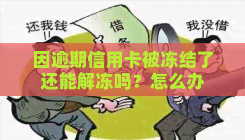 因逾期信用卡被冻结了还能解冻吗？怎么办