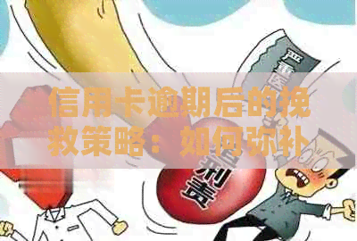 信用卡逾期后的挽救策略：如何弥补过错，重新建立信用？