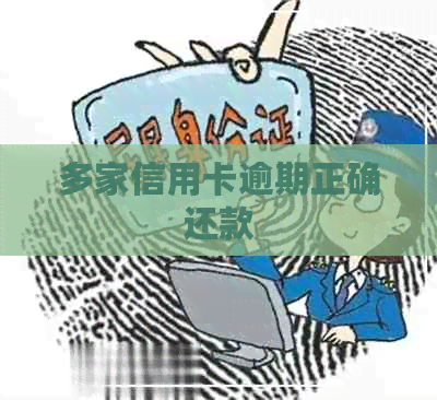 多家信用卡逾期正确还款