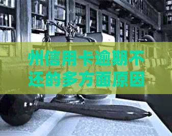州信用卡逾期不还的多方面原因及应对策略