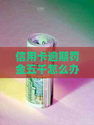 信用卡逾期罚金五千怎么办？