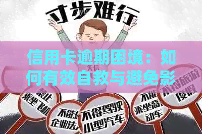 信用卡逾期困境：如何有效自救与避免影响信用评分的策略