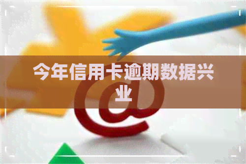 今年信用卡逾期数据兴业