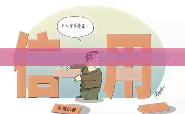 信用卡逾期报案还款后自首怎么办