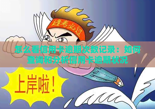 怎么看信用卡逾期次数记录：如何查询和分析信用卡逾期状况