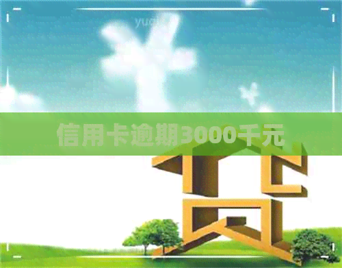 信用卡逾期3000千元