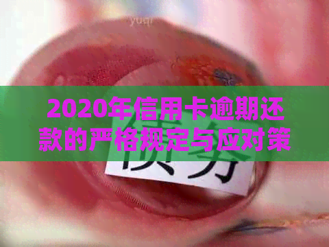 2020年信用卡逾期还款的严格规定与应对策略