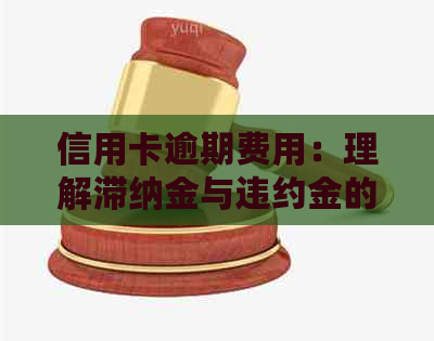 信用卡逾期费用：理解滞纳金与违约金的区别并避免不必要的损失