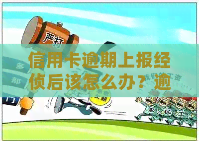 信用卡逾期上报经侦后该怎么办？逾期后的处理流程及补救措全解析