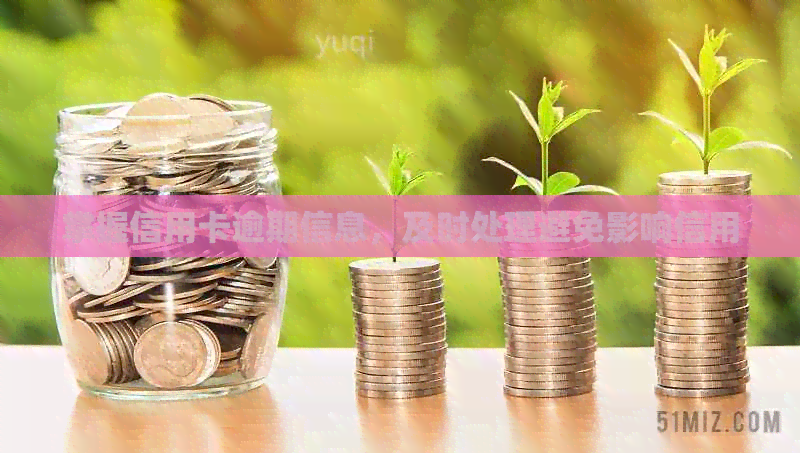 掌握信用卡逾期信息，及时处理避免影响信用