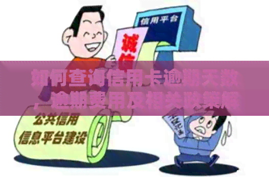 如何查询信用卡逾期天数，逾期费用及相关政策解读