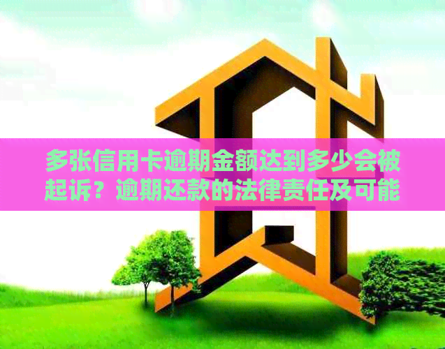 多张信用卡逾期金额达到多少会被起诉？逾期还款的法律责任及可能的影响
