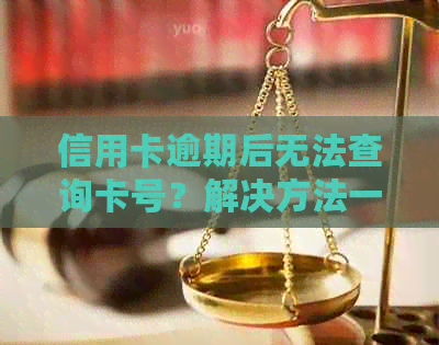 信用卡逾期后无法查询卡号？解决方法一网打尽！