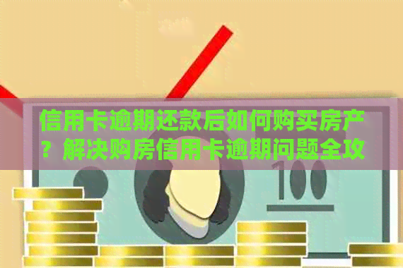 信用卡逾期还款后如何购买房产？解决购房信用卡逾期问题全攻略
