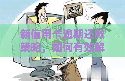新信用卡逾期还款策略，如何有效解决银行问题？