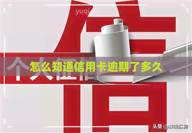 怎么知道信用卡逾期了多久