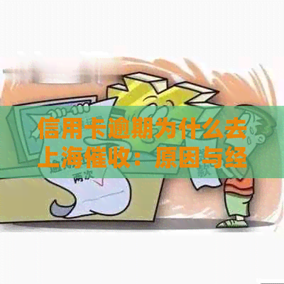 信用卡逾期为什么去上海：原因与经历分享