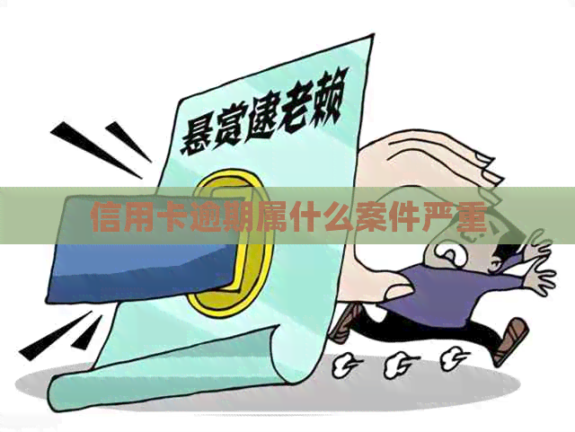 信用卡逾期属什么案件严重