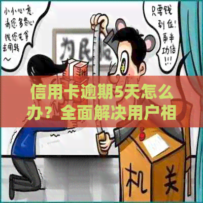 信用卡逾期5天怎么办？全面解决用户相关问题的方法大揭秘！