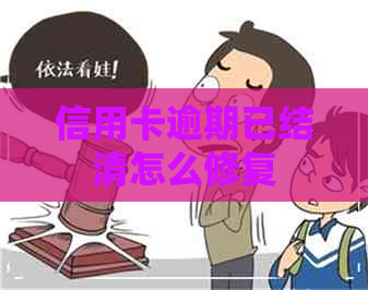 信用卡逾期已结清怎么修复