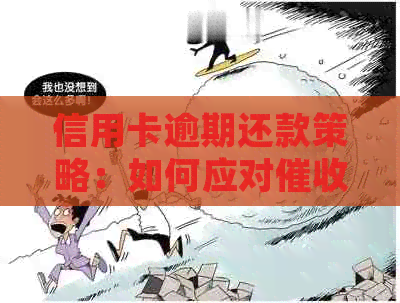 信用卡逾期还款策略：如何应对电话并保护个人信用